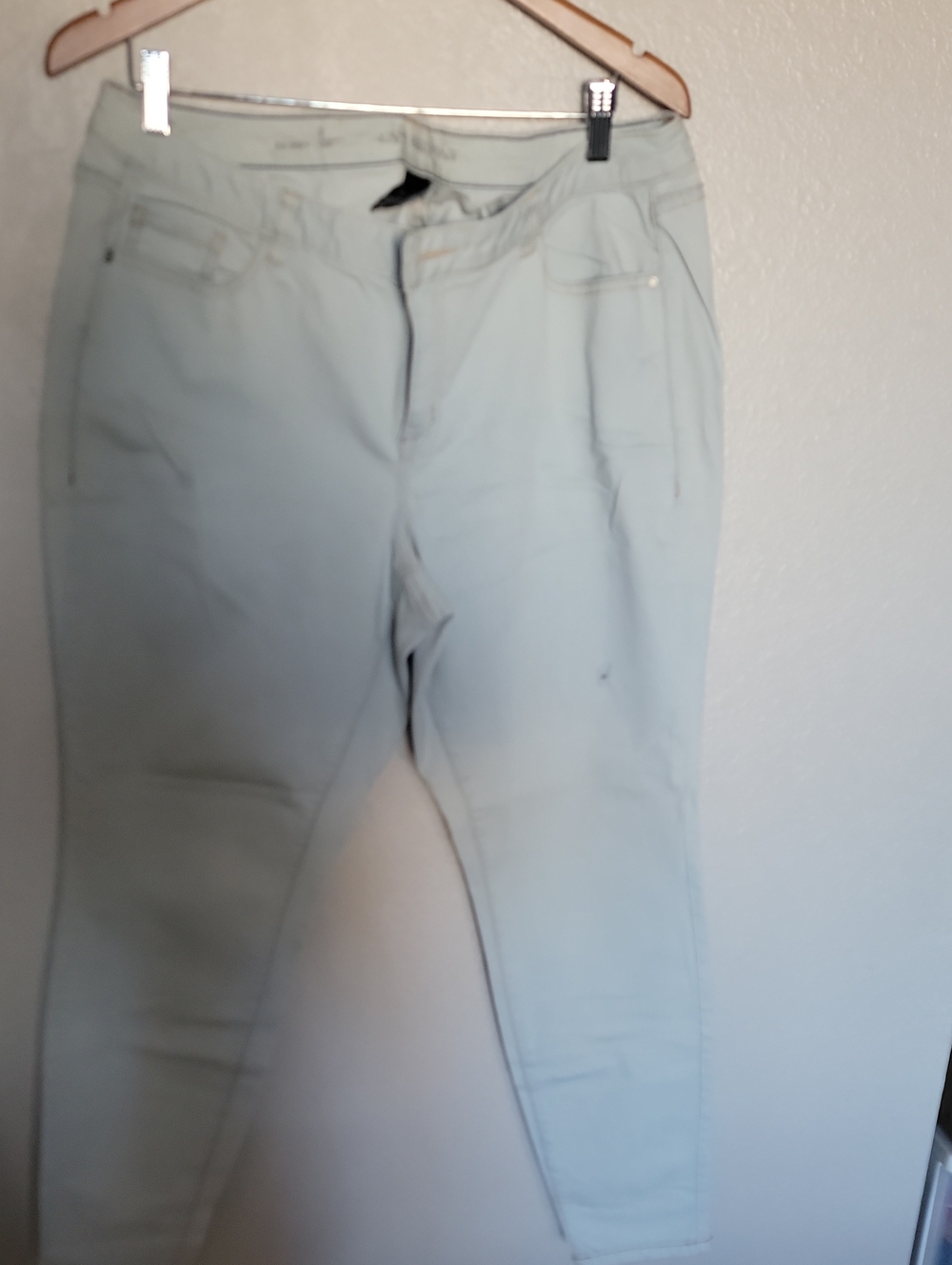 Lane Bryant Light Mint Skinny Jeans